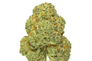 Pedanios 31/1 CMK-CA